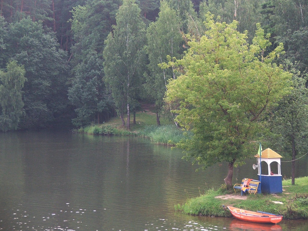 Печерский лесопарк фото