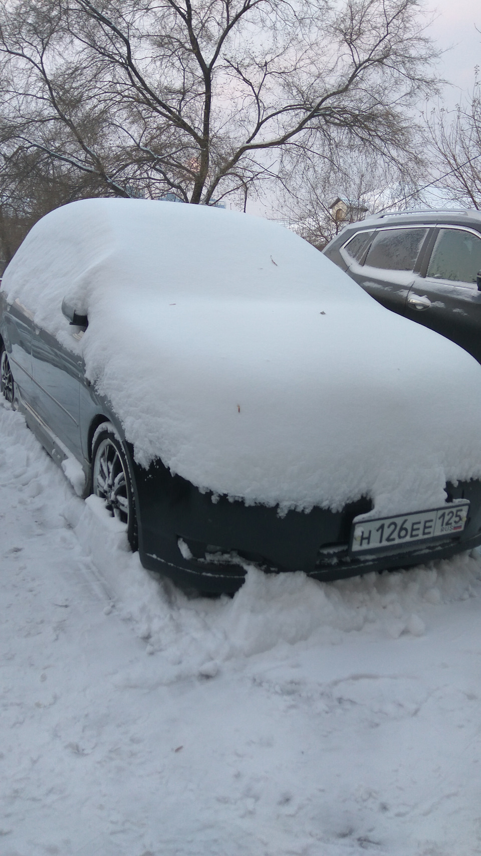 Зима, холода, одинокие дома… — Toyota Corolla RunX, 1,5 л, 2002 года |  просто так | DRIVE2