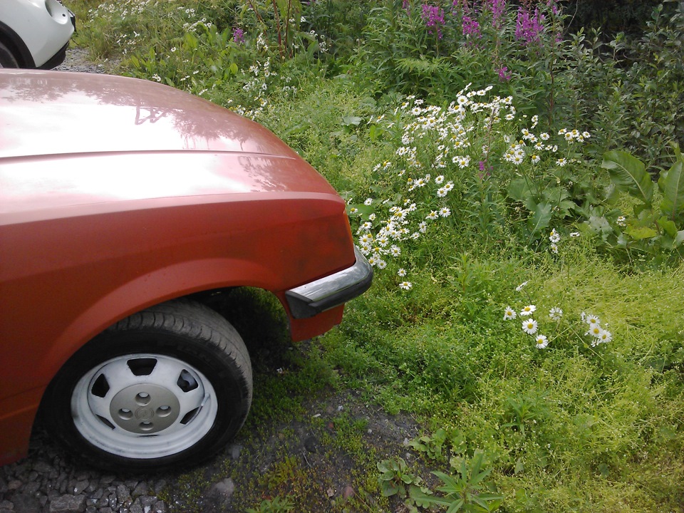 Помыл первый раз' обновил ржавые диски' и как обычно… — Opel Rekord E ...