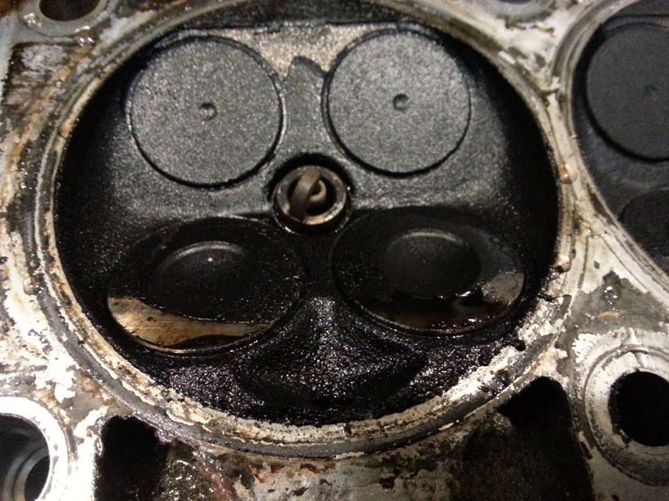 Фото в бортжурнале Volkswagen Tiguan (1G)