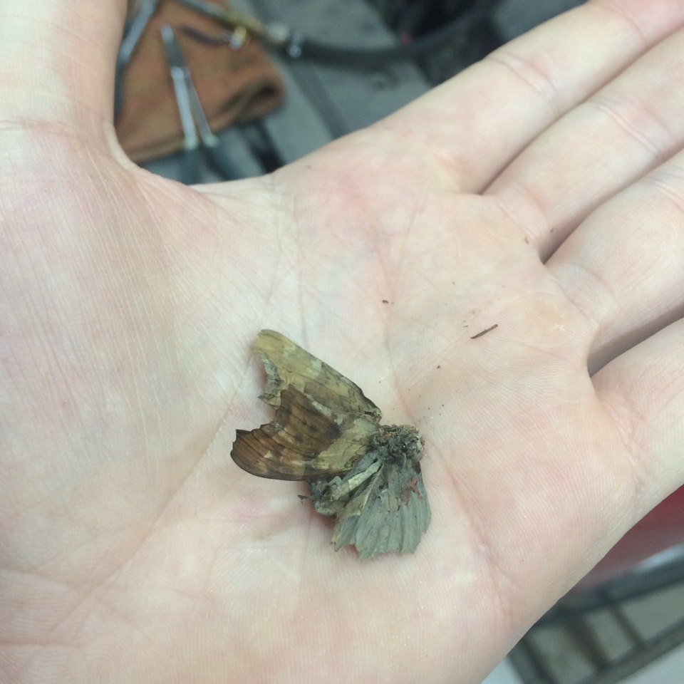 No 9 : Промывка топливной системы, чистка заслонки дросселя и замена ...