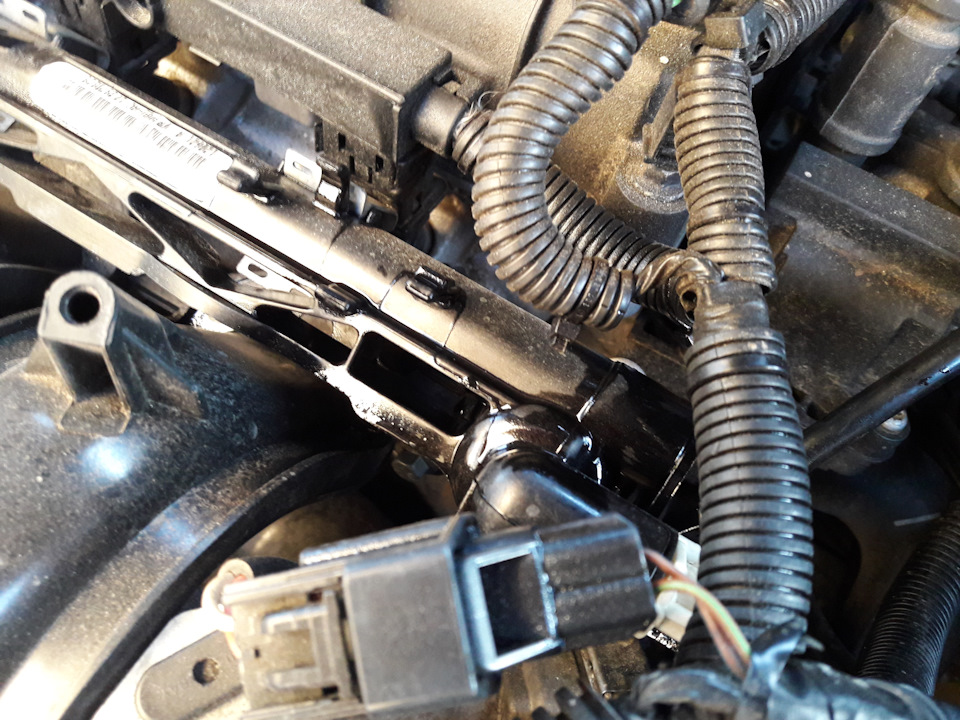 Похоже, что течёт прямо из корпуса ! — Ford Focus Hatchback III