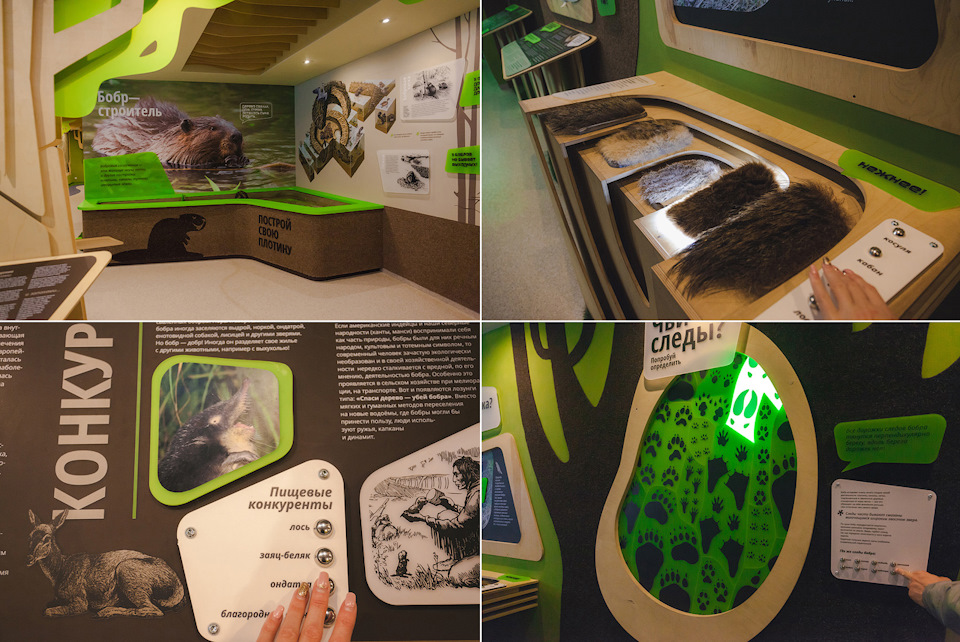 воронежский заповедник история создания. f199945s 960. воронежский заповедник история создания фото. воронежский заповедник история создания-f199945s 960. картинка воронежский заповедник история создания. картинка f199945s 960. Липецкая и Воронежская области воронежский заповедник история создания. f199945s 960. воронежский заповедник история создания фото. воронежский заповедник история создания-f199945s 960. картинка воронежский заповедник история создания. картинка f199945s 960. Липецкая и Воронежская области