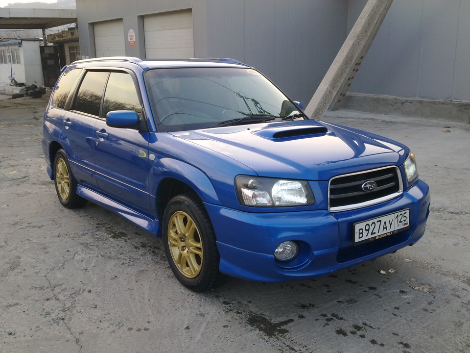 Forester 2