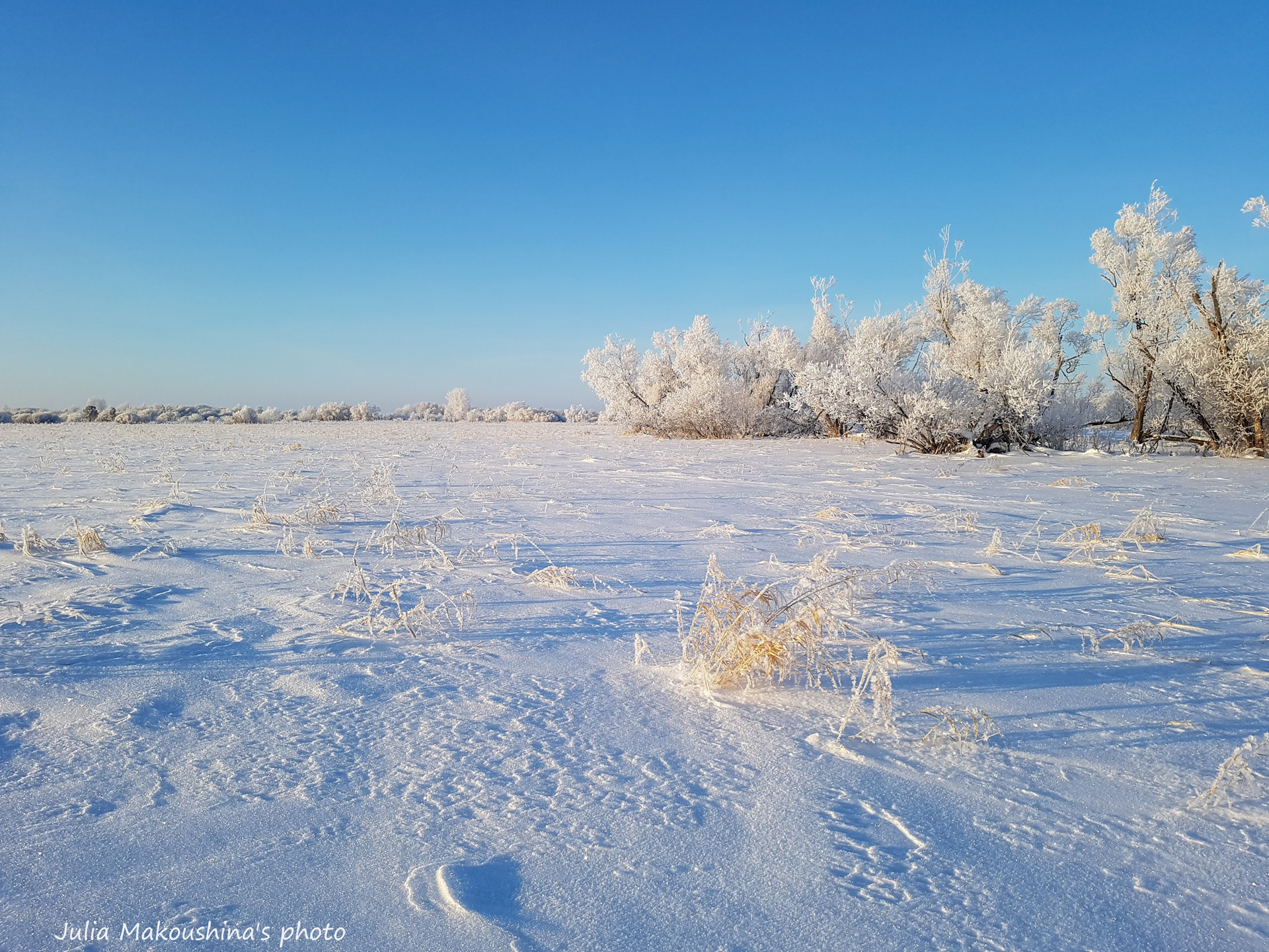 Каспаранский яр томск фото