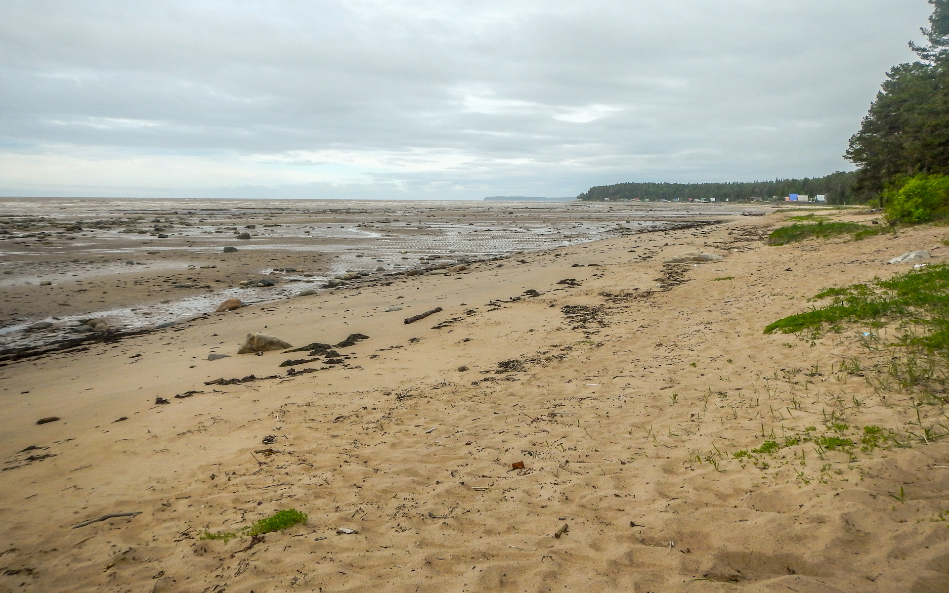 Пути к белому морю. Белое море пляж дикий. Животные белого моря в Карелии.