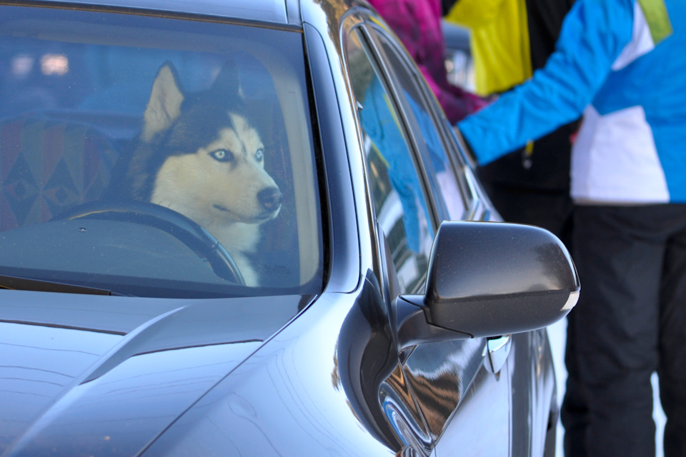 Пять километров, говорите? На время? Легко! — Jeep Grand Cherokee (ZJ)