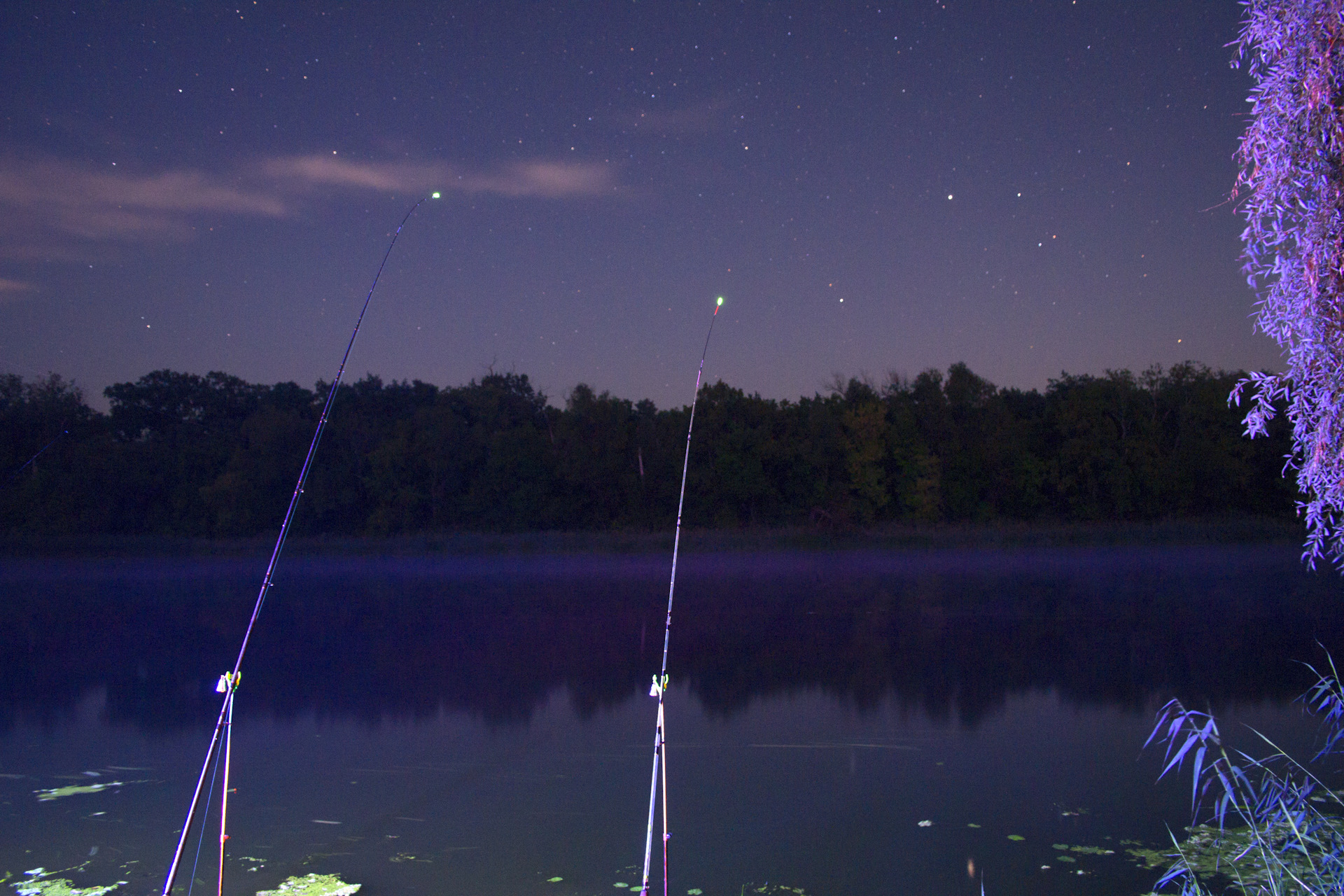 Ловить рыбу ночью. Ночная рыбалка. Рыбалка вечером. Ночная рыбалка летом. Ночная рыбалка на фидер.