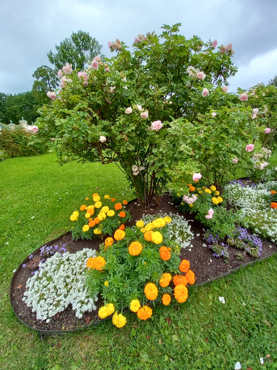 Фото в бортжурнале Renault Sandero 2G