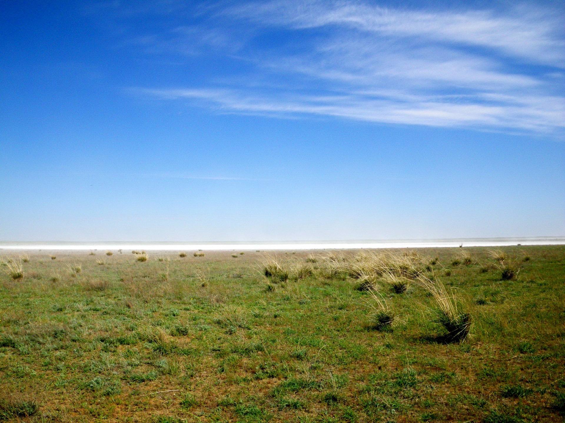 Пустыня Сарыарка в Казахстане