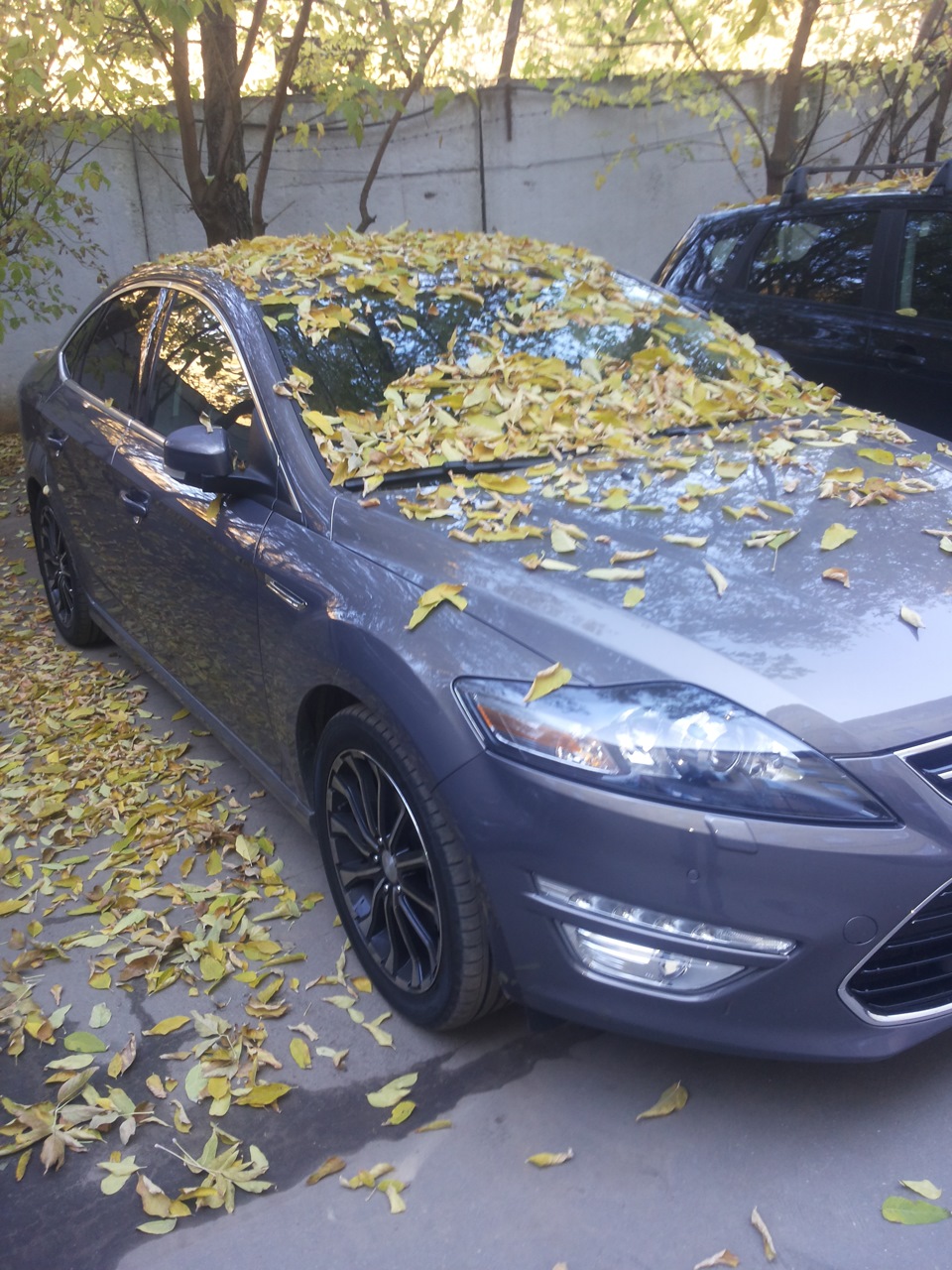 Пришлось поменять стойку, рулевую тягу с наконечником+ — Ford Mondeo IV ...