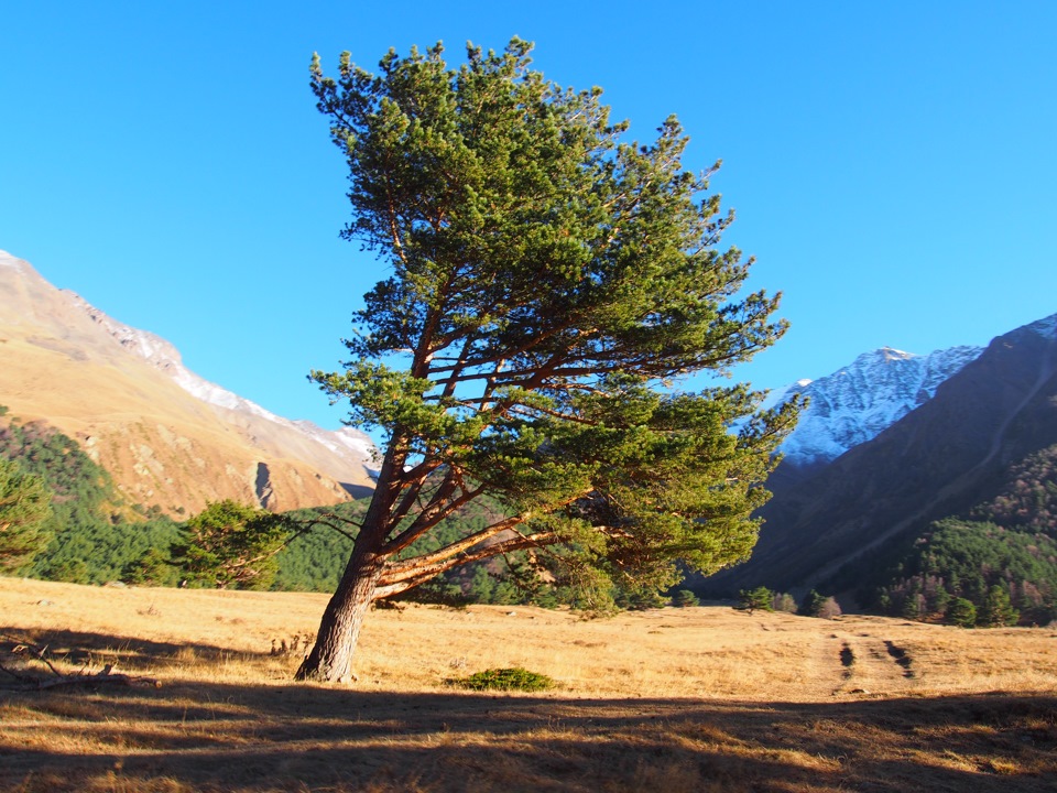 По пути к турбазе Чегем — Jeep Cherokee (KJ)