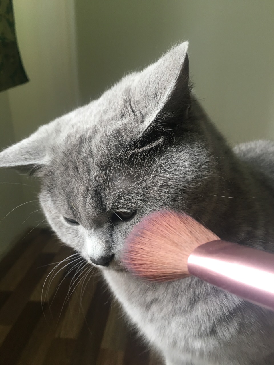 Так Бусич гримируется перед съемками как настоящая модель. Коррекция скул в действии) — Audi A7 Sportback (1G)