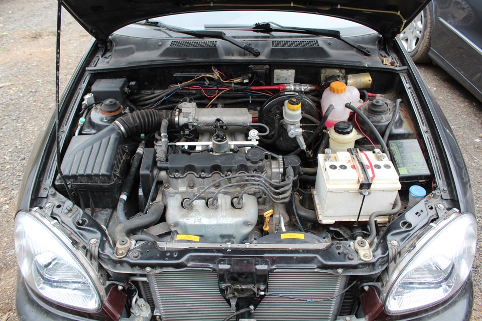 Заз сенс 1. Заз шанс 1. 3 двигатель. 5 хэтчбек. 3.