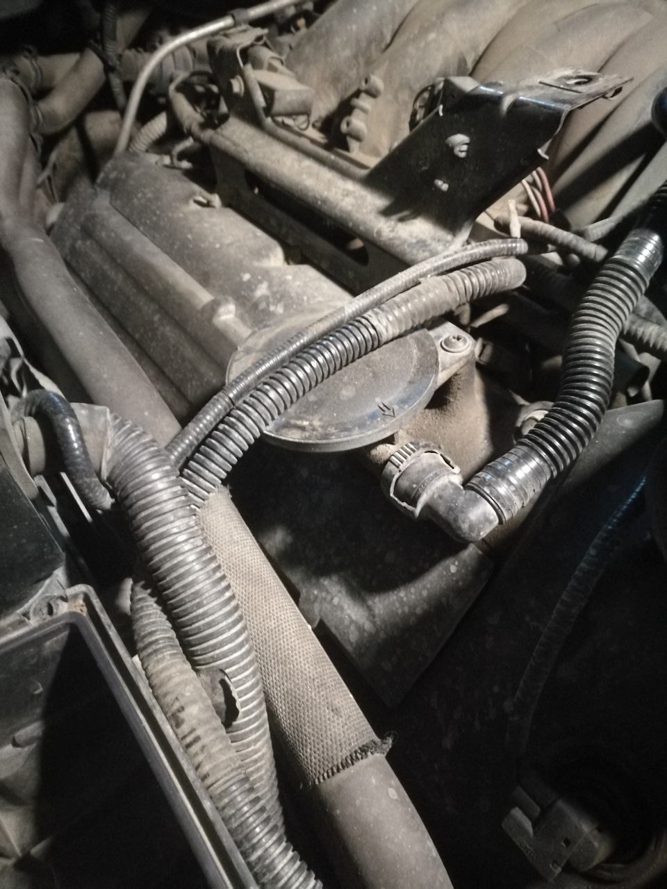 Фото в бортжурнале Land Rover Discovery III