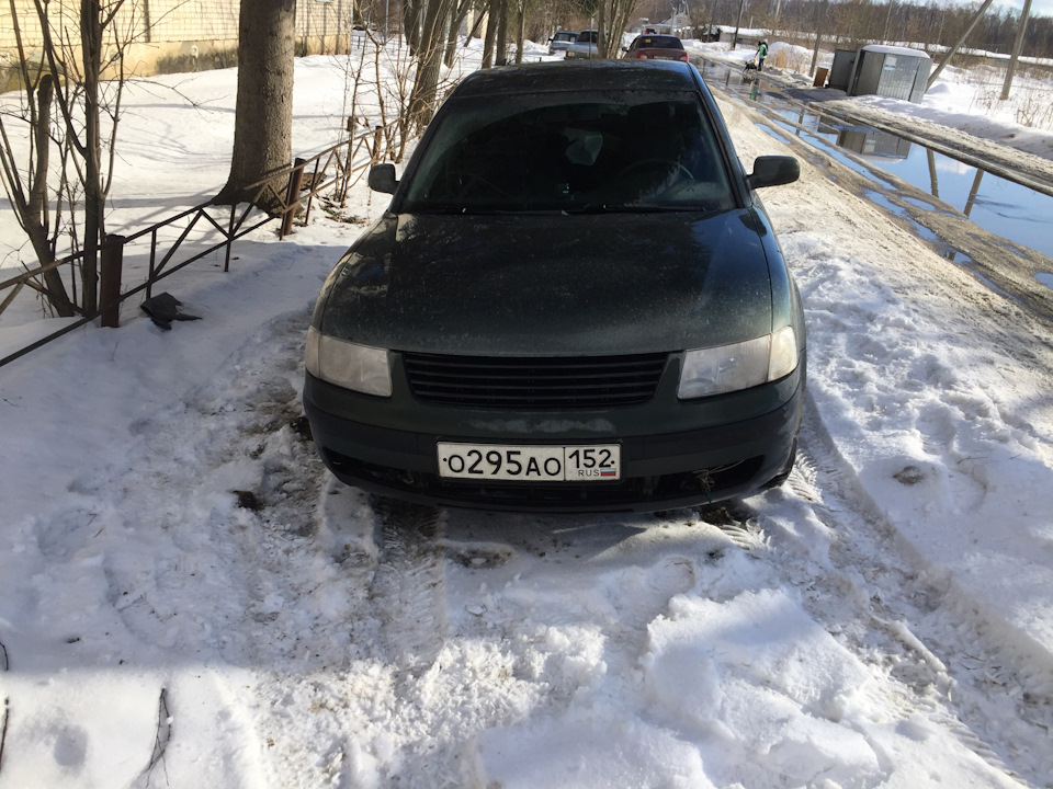 Решетка радиатора без значка — Volkswagen Passat B5, 1,9 л, 1998 года ...