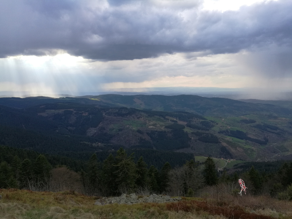 Фото в бортжурнале Audi A4 (B9)