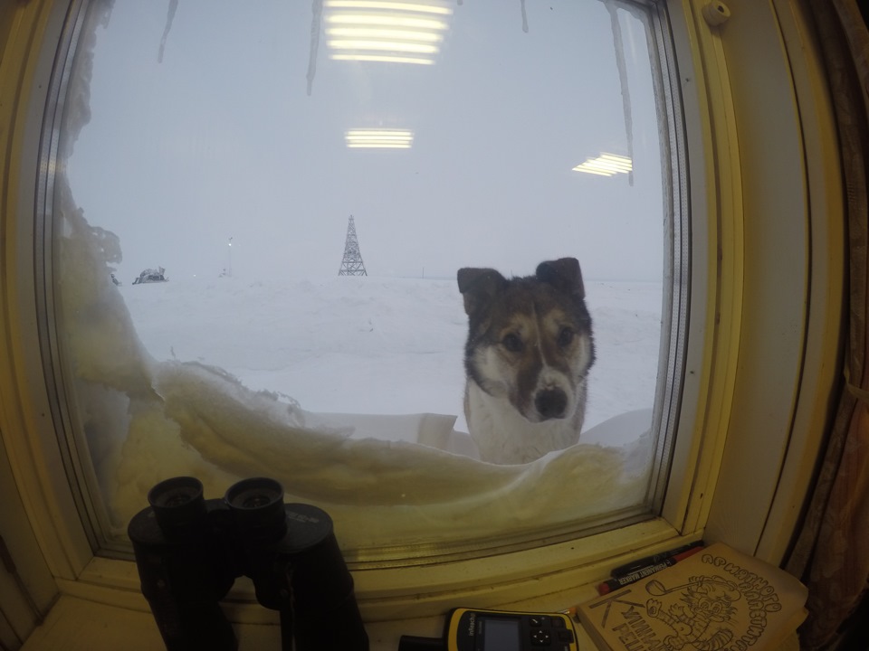 Фото в бортжурнале УАЗ 39095