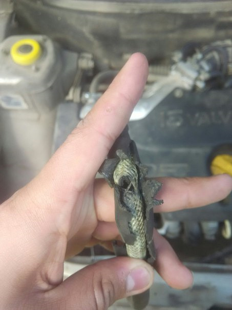 Чистка дроссельного узла и неожиданные артефакты. — Lada 21103, 1,5 л ...