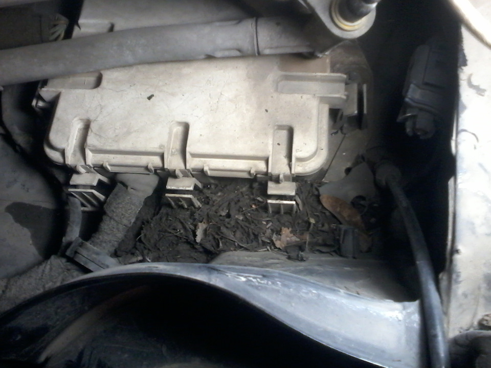 Фото в бортжурнале Volkswagen Golf Mk4