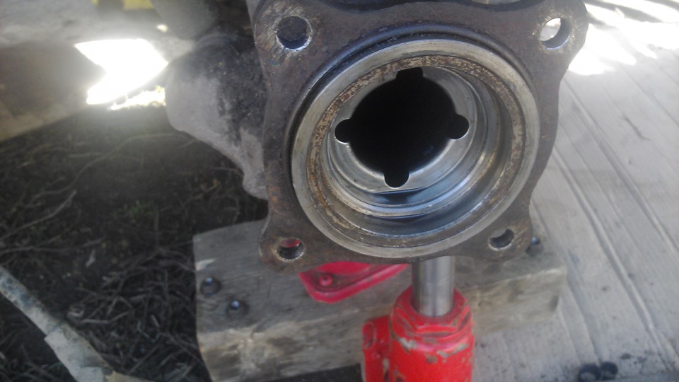 Фото в бортжурнале Great Wall Deer