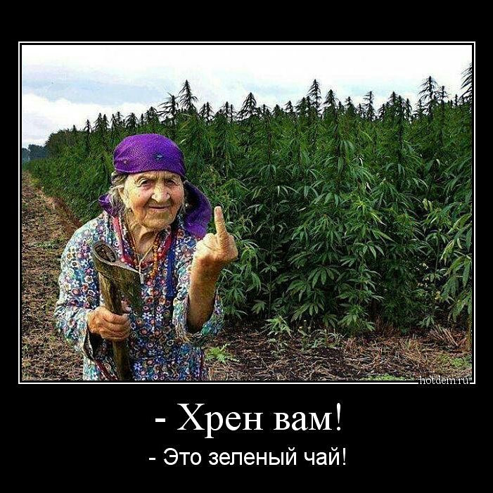 Приколы с анашой картинки