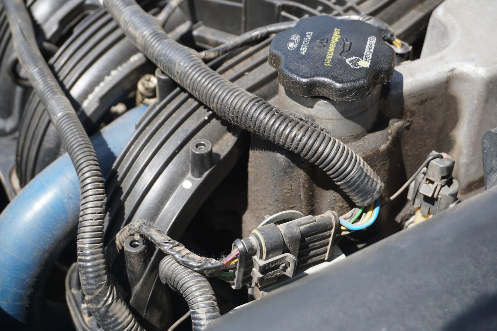 Пароочиститель Bort BDR-5000 Turbo — практическое применение, химчистка ...