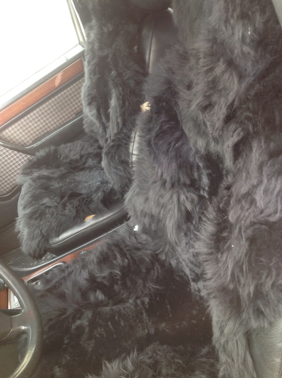 Я люблю свою лошадку, причешу ей шерстку гладко — Mercedes-Benz E-class ...