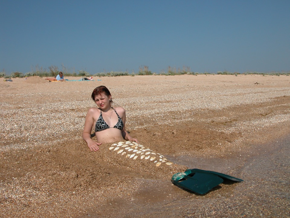 Американское купе на Арабатской стрелке, взгляд со стороны ...