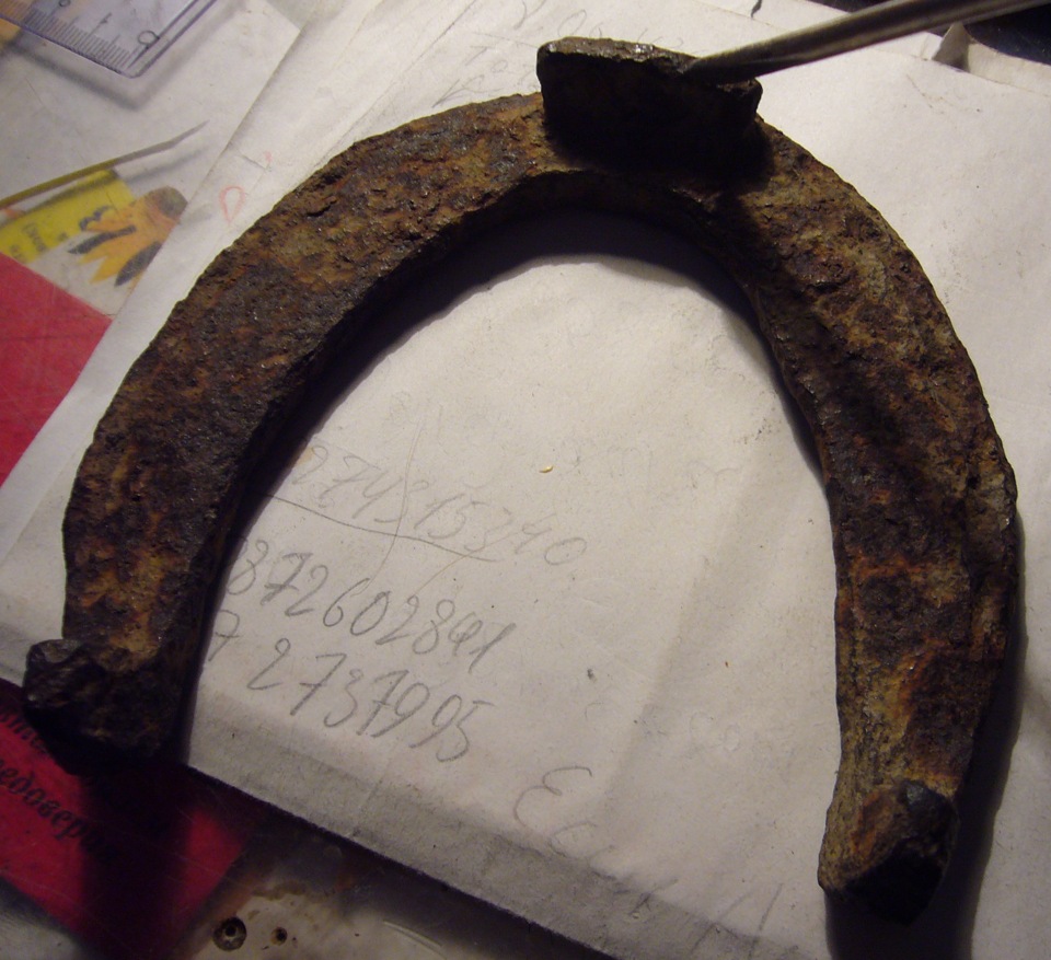 Оказывается и у лошадей бывает зимняя резина, тьфу, подкова. — DRIVE2