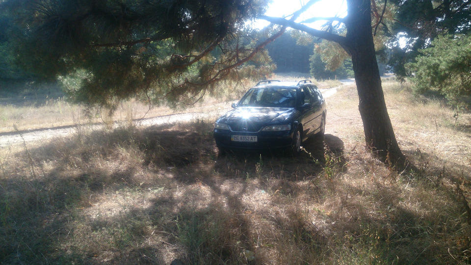 Чем лучше обработать днище и арки? — Opel Vectra B, 1,6 л, 2000 года ...