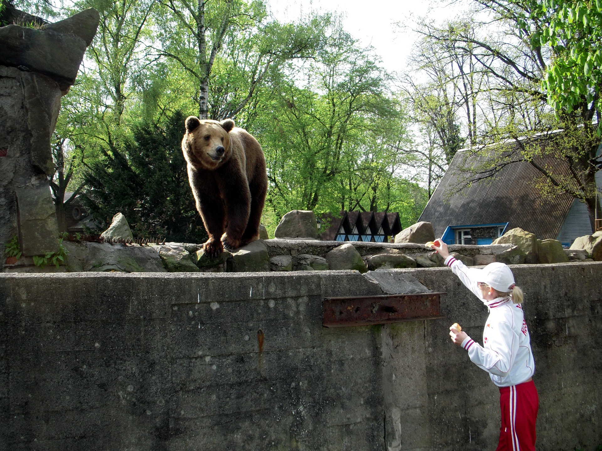 Большой зоопарк видео. Зоопарки России. Самые большие зоопарки России. Самый огромный зоопарк в России. Самый лучший зоопарк в России.