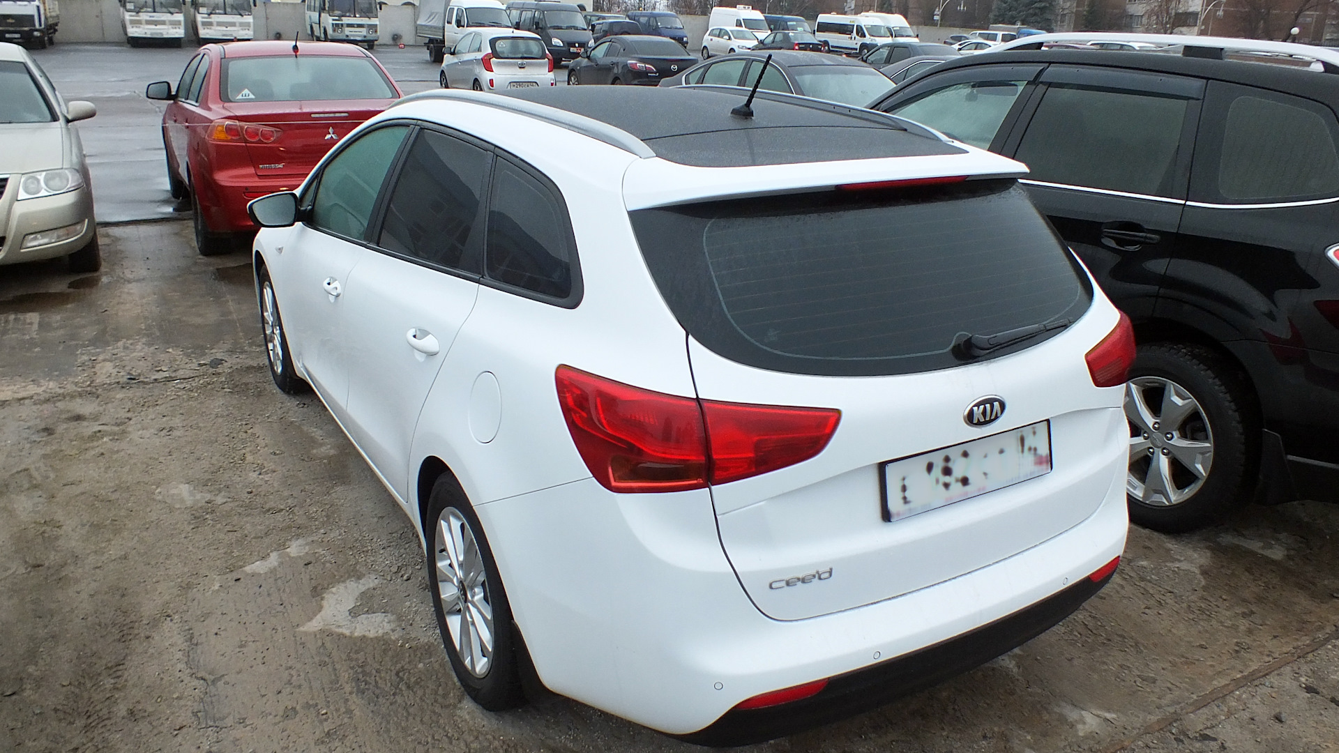 Kia Ceed ed черная крыша