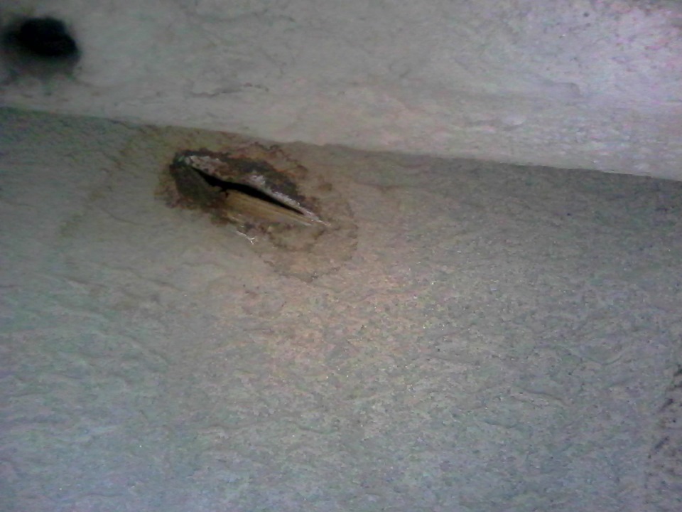 заложил на повороте итог дырка в бензобаке — ИЖ Москвич 412, 1,5 л ...