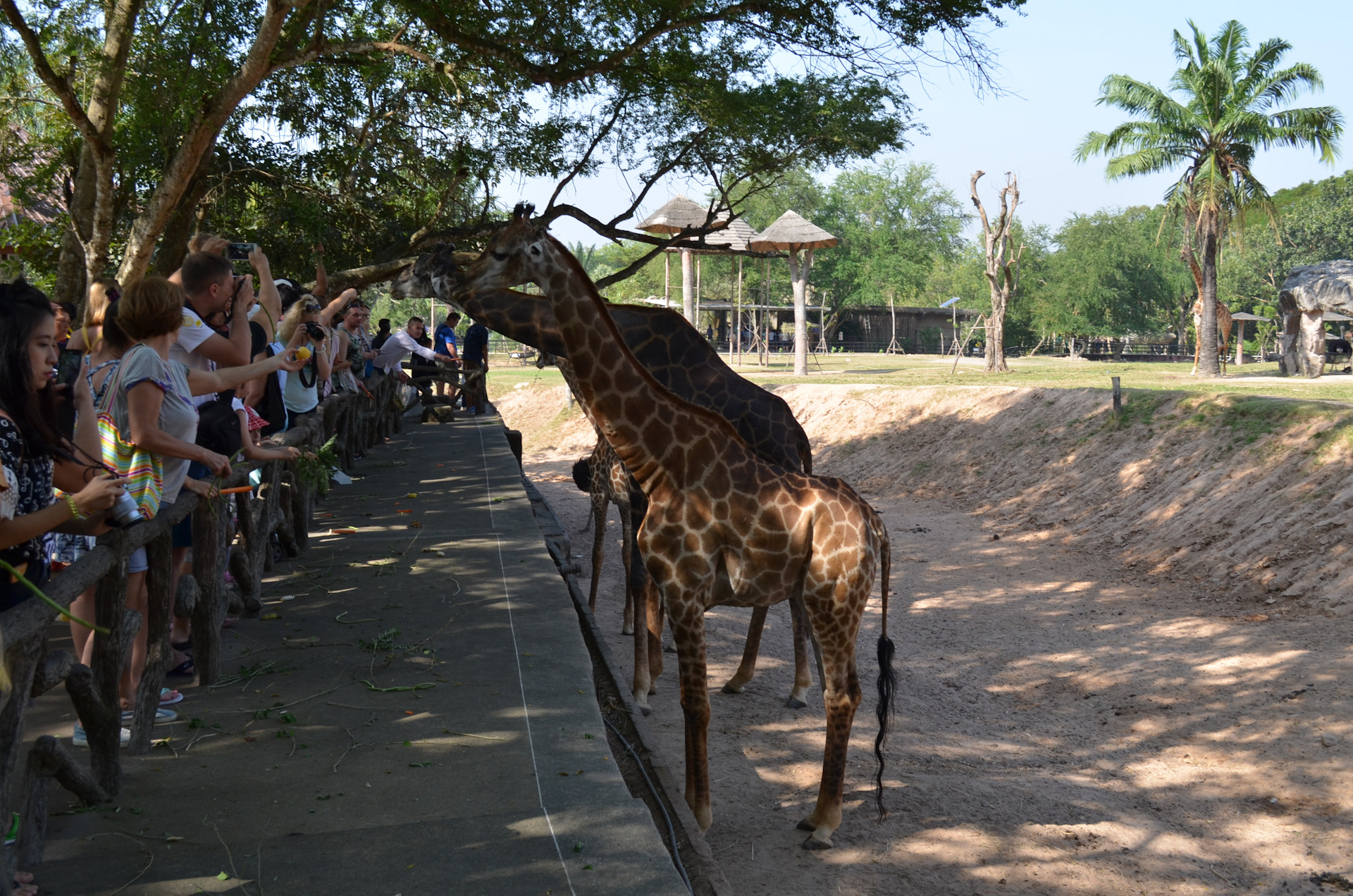 Khao kheow zoo