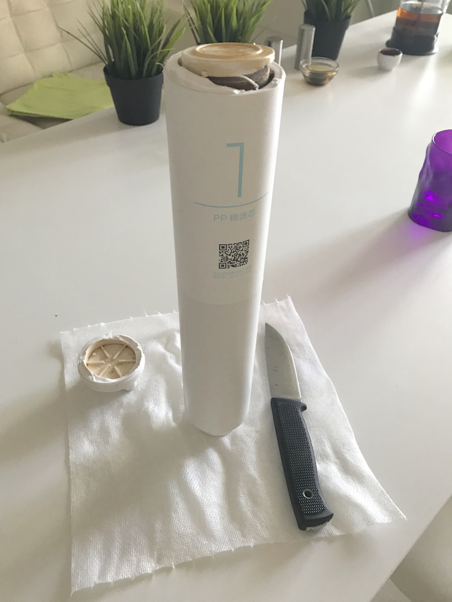 Xiaomi water purifier