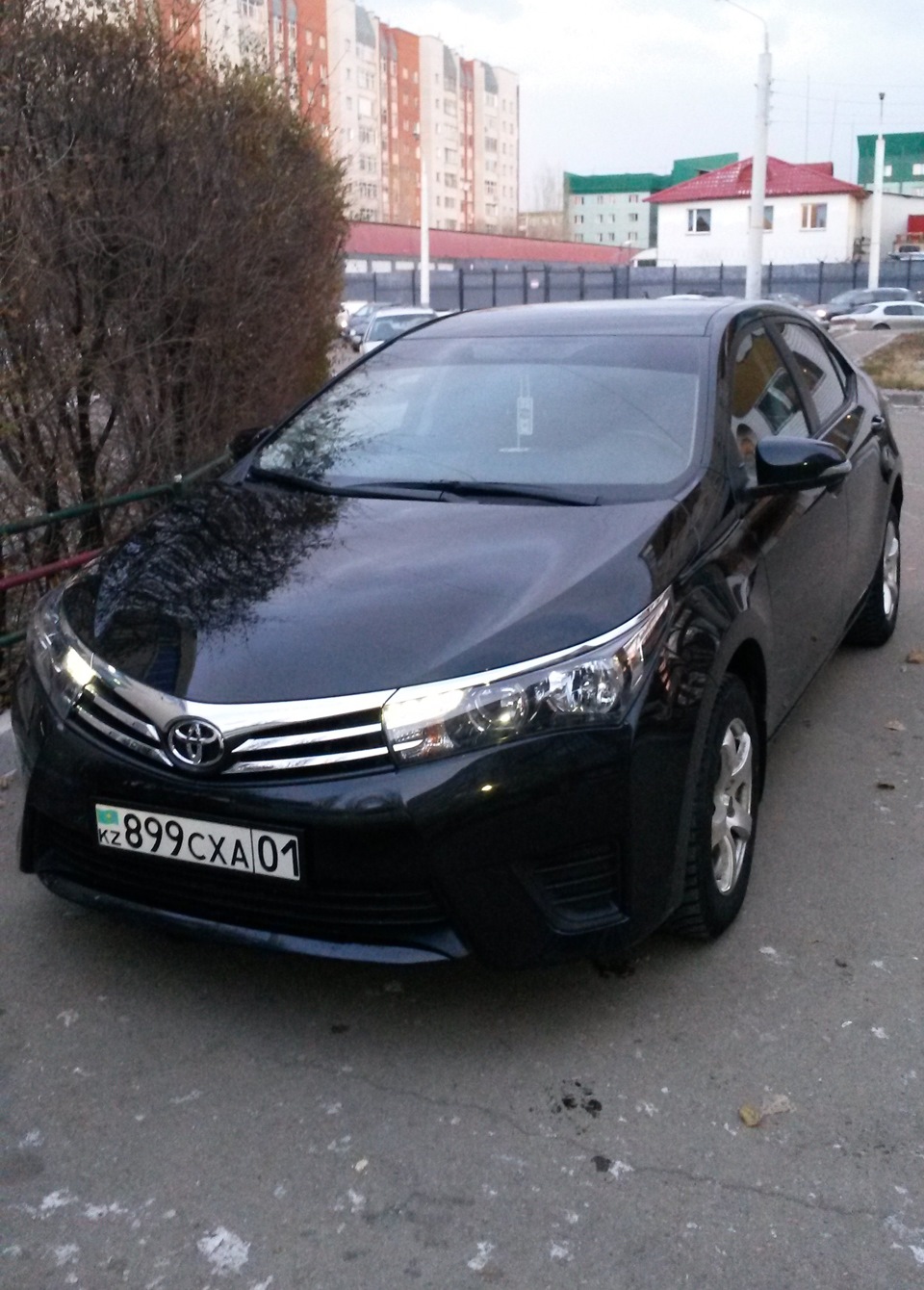 Поездка Астана — Петропавловск — Астана — Toyota Corolla (160), 1,4 л, 2013  года | путешествие | DRIVE2