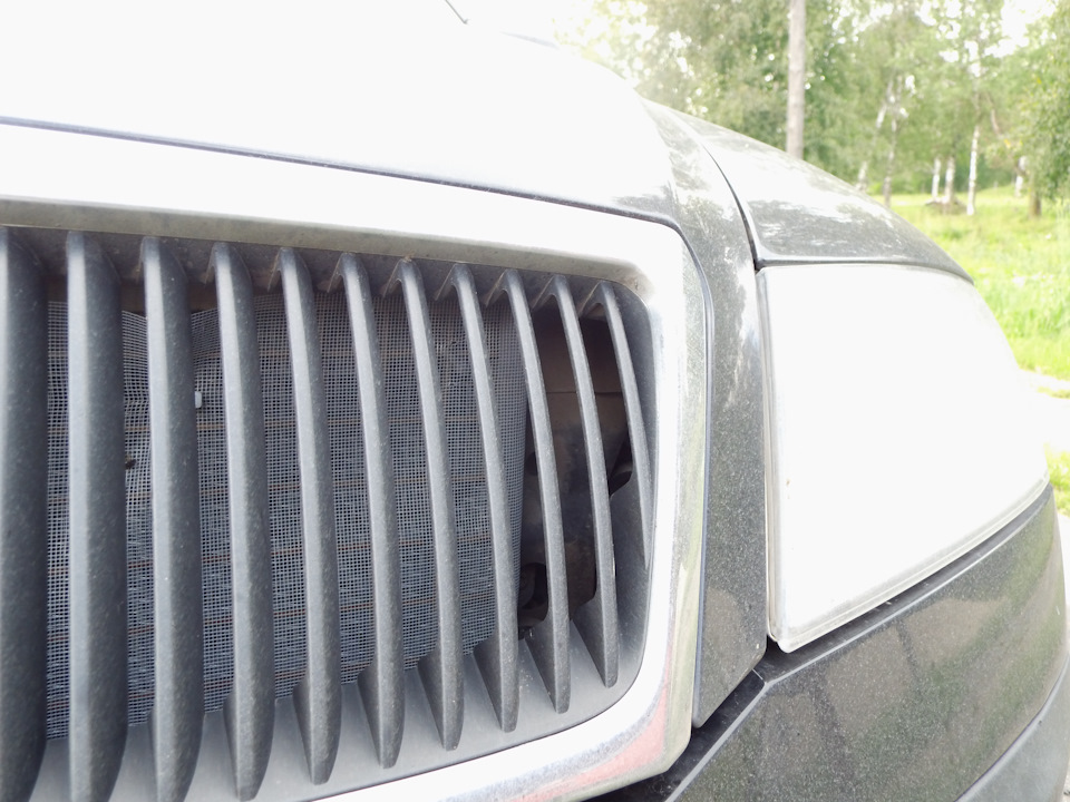 Защита радиатора или хвастовства пост. — Skoda Octavia A5 Mk2, 1,4 л ...