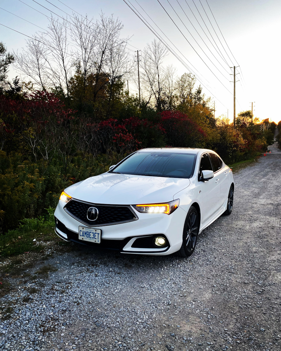 Двигаемся дальше — Acura TLX (1G), 3,5 л, 2018 года | покупка машины |  DRIVE2