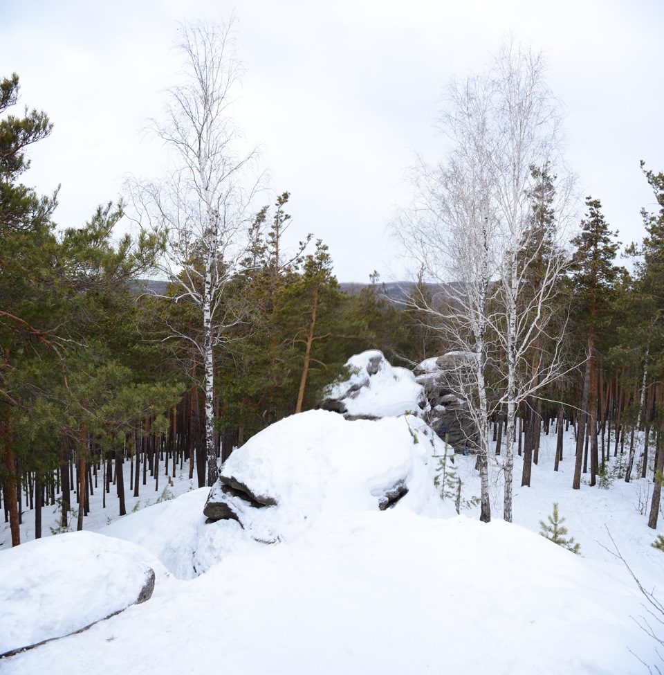 Фото в бортжурнале УАЗ Patriot