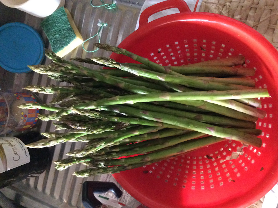 Тальятелле со спаржей и аргентинскими креветками. — Сообщество «Вкусно ...