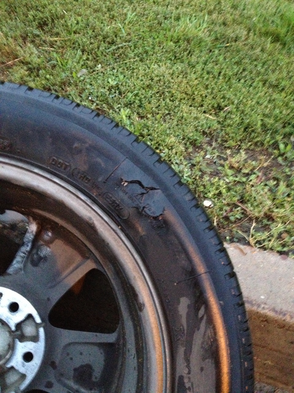 Боковой порез. — DRIVE2