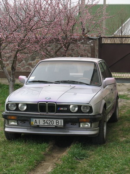 f3d4d24s-960.jpg