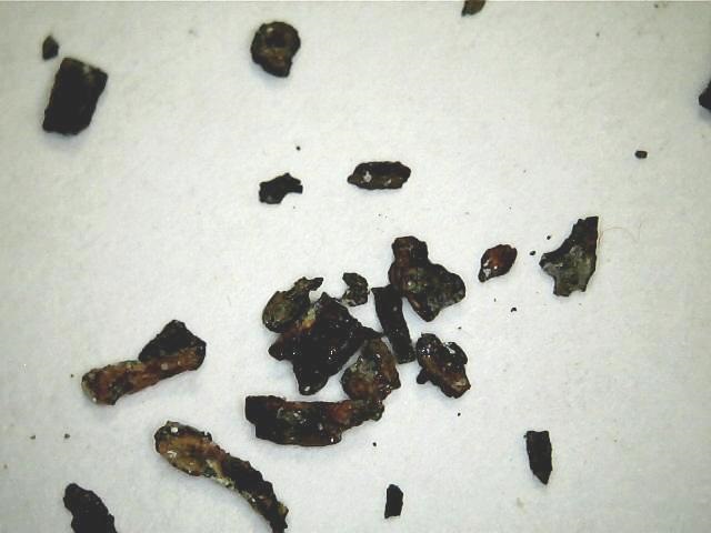 Фото в бортжурнале Lada Калина Универсал (2G)