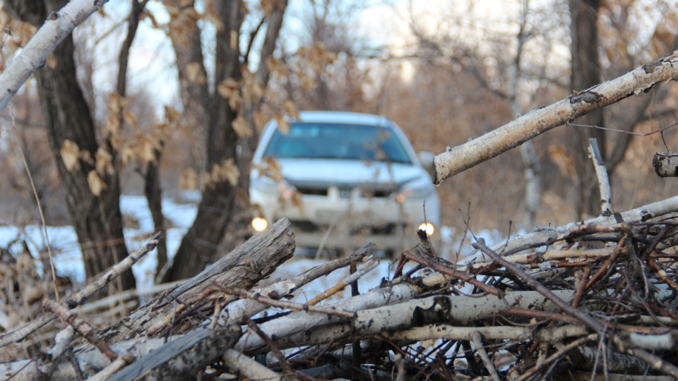 Nissan Wingroad 4 WD AERO >>>> RIDER