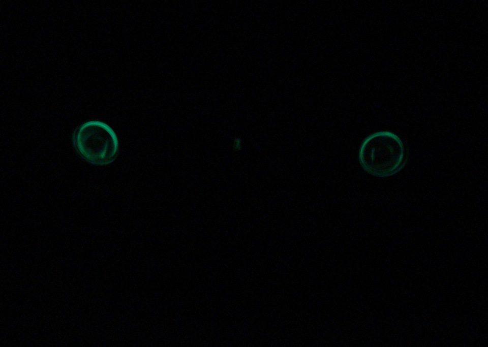 Значок Ваз 2101 — Lada 2101, 1,5 л, 1971 года | аксессуары | DRIVE2