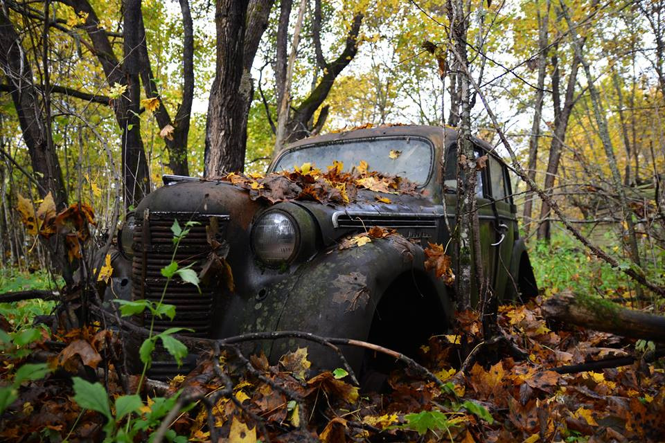 Брошенные автомобили в лесу