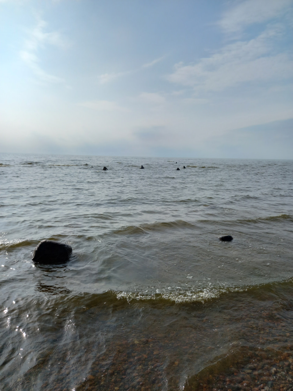 Фото в бортжурнале Renault Sandero 2G