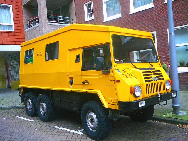 Пинзгаурер 6x6