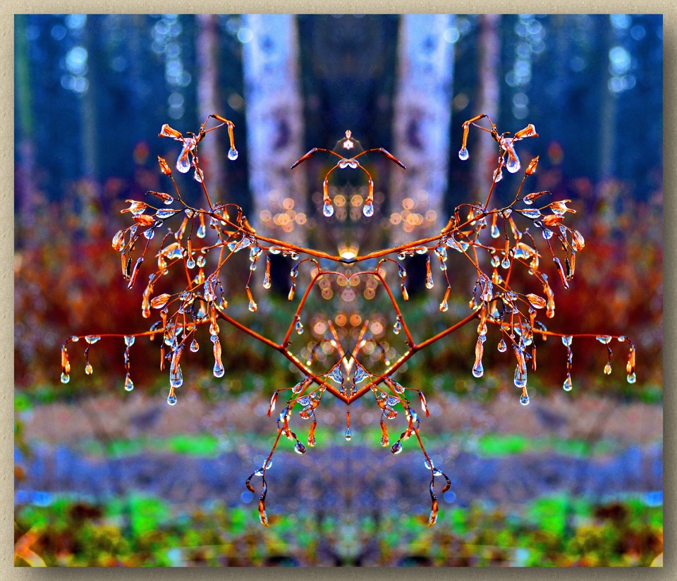 в лесочке…)))))… — DRIVE2